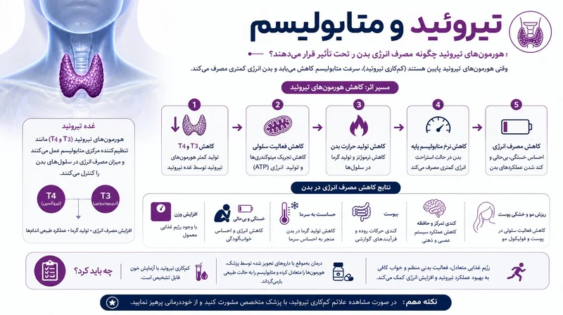 تاثیر کم کاری تیروئید بر متابولیسم و چاقی