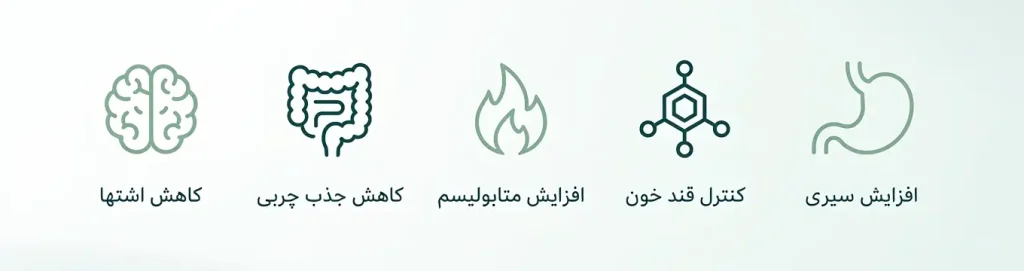 اینفوگرافیک مکانیسم عملکرد انواع قرصهای لاغری