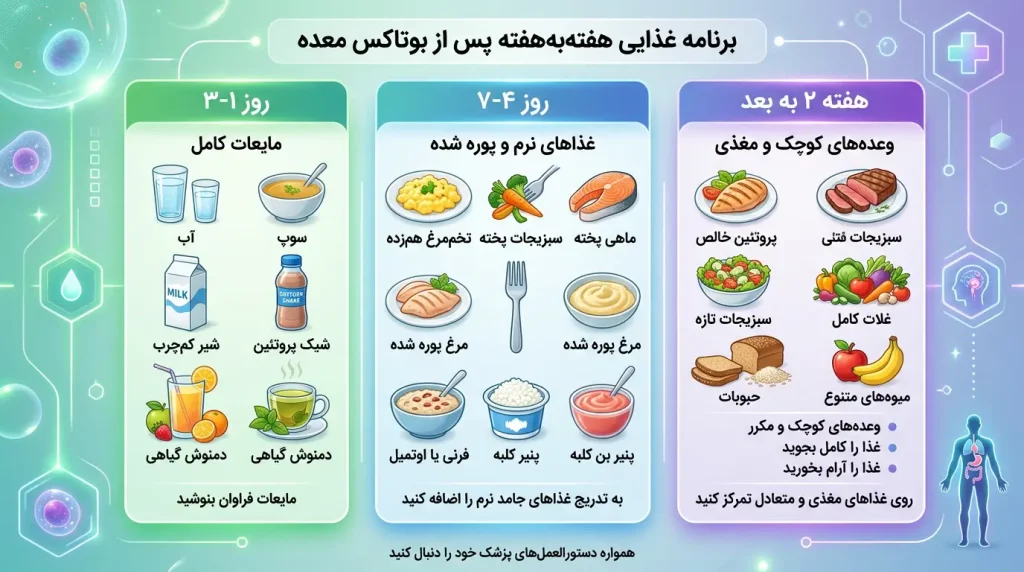 برنامه غذایی هفتگی بعد از بوتاکس معده