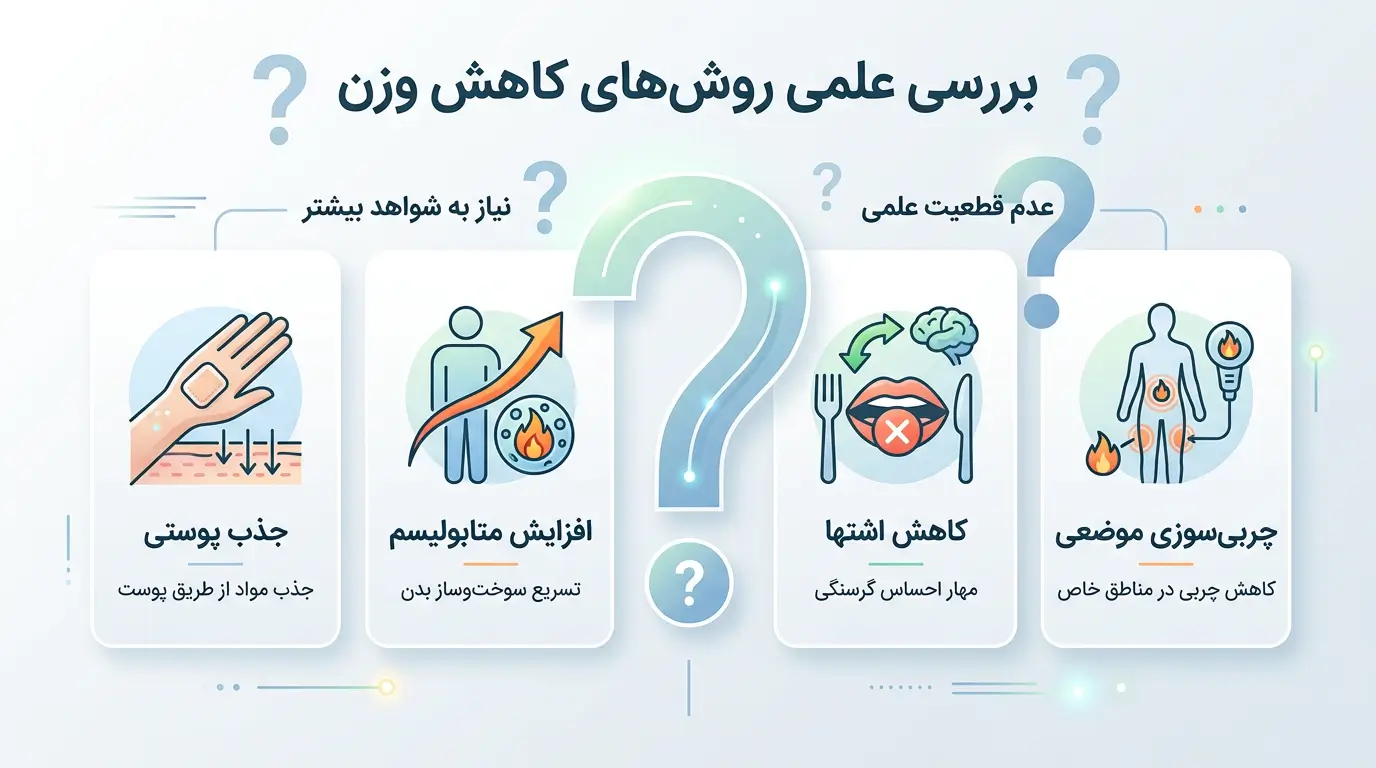 اینفوگرافیک مکانیسم ادعایی قرص ناف لاغری به زبان فارسی
