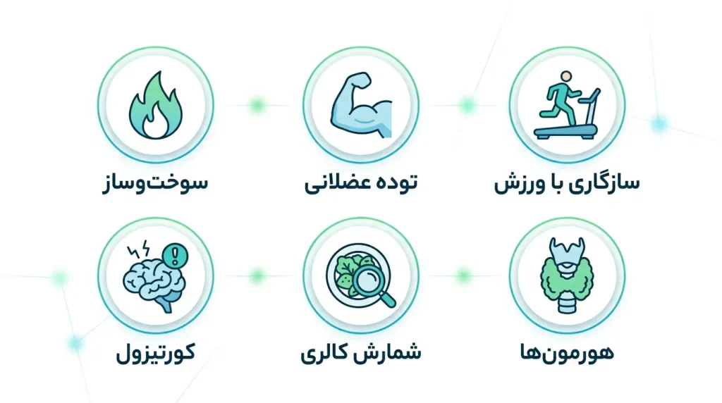 اینفوگرافیک تفاوت استپ وزنی واقعی و کاذب در بدنسازی